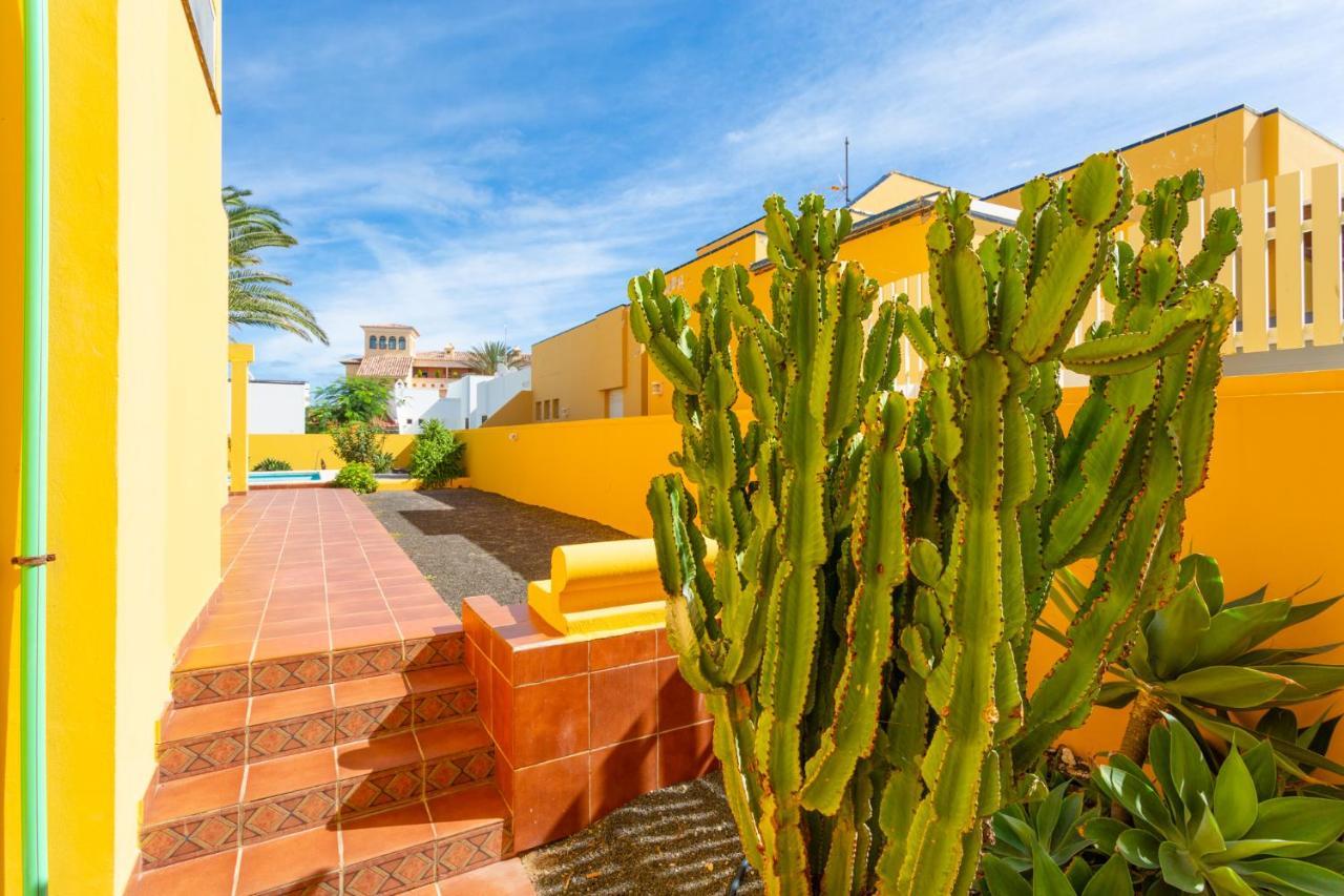 Villa Mariposas コラレホ エクステリア 写真