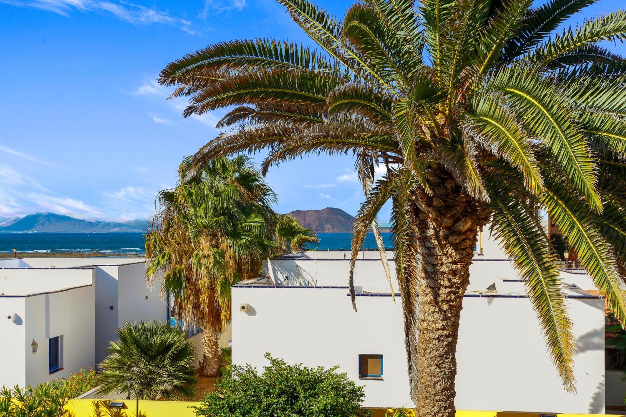 Villa Mariposas コラレホ エクステリア 写真